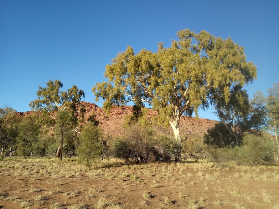 Wanngardi Caravan Park Alice Springs
