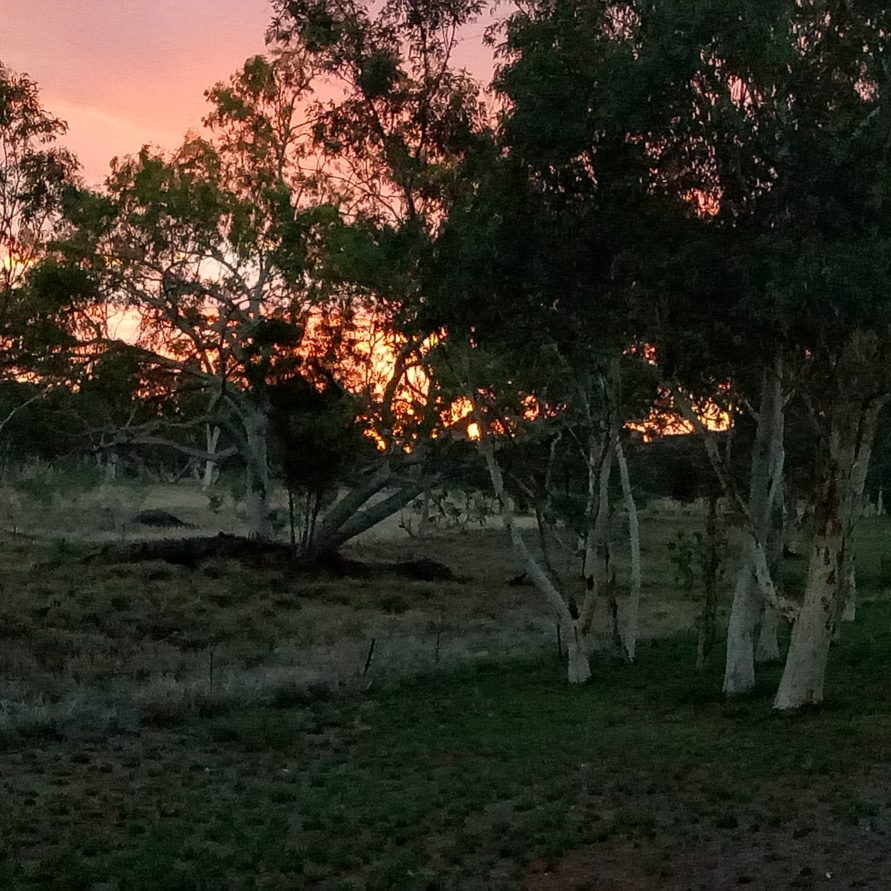 Wanngardi Caravan Park Alice Springs